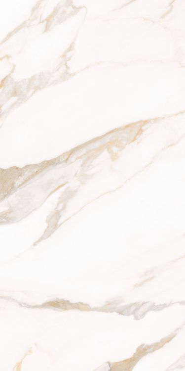 Classy Warm White Matte 24 x 48